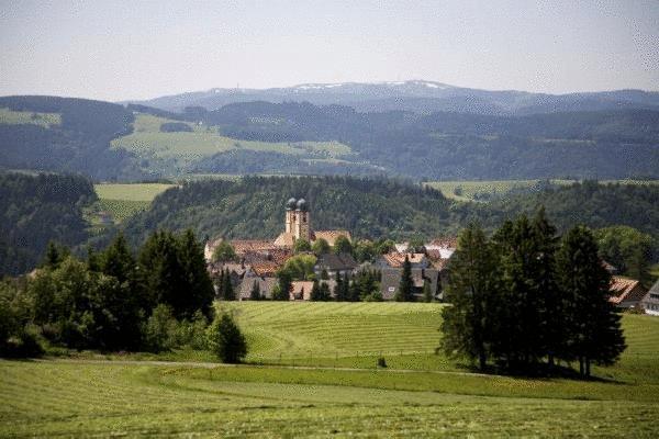 Gastehaus Wald Und See Titisee-Neustadt Dış mekan fotoğraf